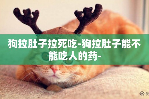 狗拉肚子拉死吃-狗拉肚子能不能吃人的藥-