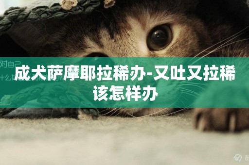 成犬薩摩耶拉稀辦-又吐又拉稀該怎樣辦