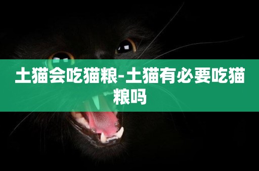 土貓會吃貓糧-土貓有必要吃貓糧嗎