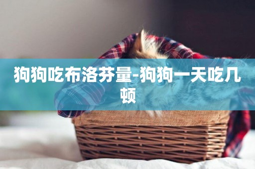 狗狗吃布洛芬量-狗狗一天吃幾頓