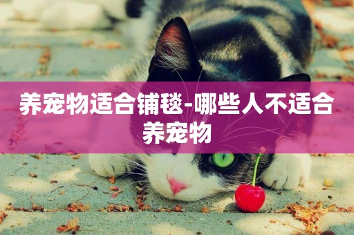 養寵物適合鋪毯-哪些人不適合養寵物