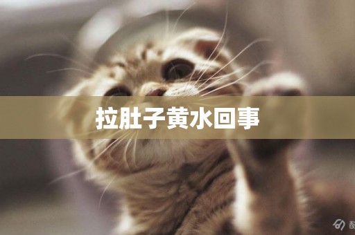 拉肚子黃水回事
