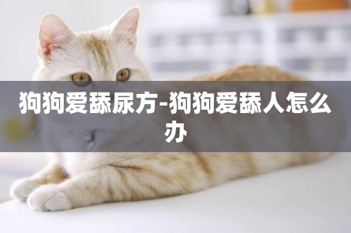 狗狗愛舔尿方-狗狗愛舔人怎么辦