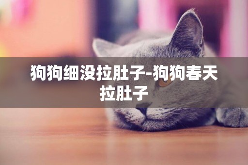 狗狗細沒拉肚子-狗狗春天拉肚子