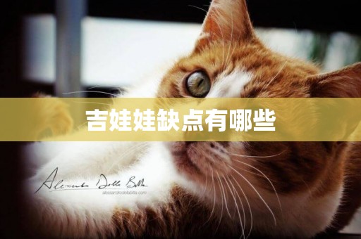 吉娃娃缺點有哪些