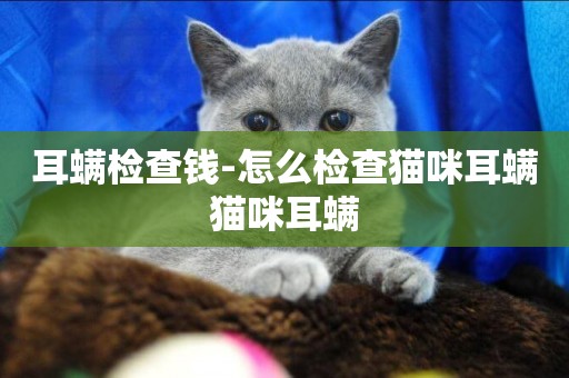 耳螨檢查錢-怎么檢查貓咪耳螨貓咪耳螨
