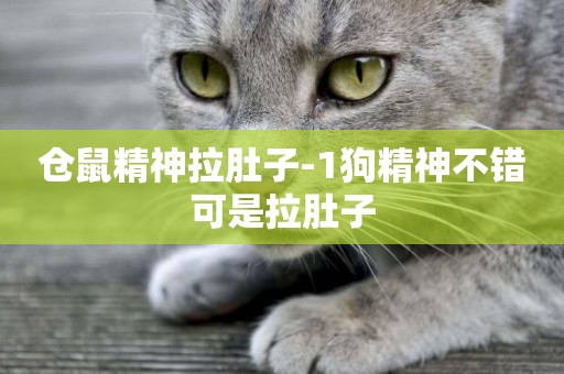 倉鼠精神拉肚子-1狗精神不錯可是拉肚子