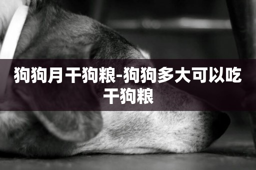 狗狗月干狗糧-狗狗多大可以吃干狗糧