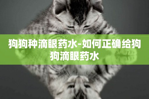 狗狗種滴眼藥水-如何正確給狗狗滴眼藥水