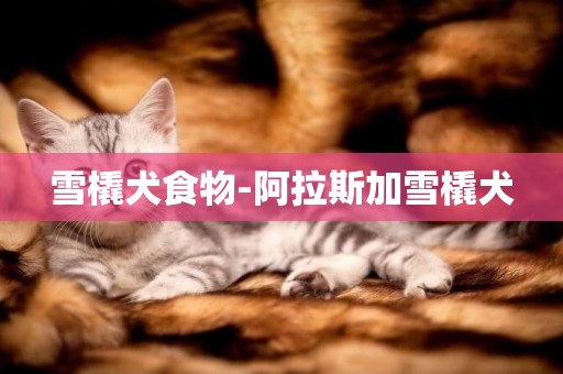 雪橇犬食物-阿拉斯加雪橇犬