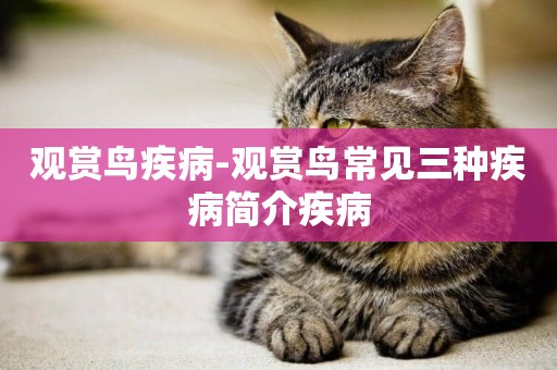 觀賞鳥疾病-觀賞鳥常見三種疾病簡介疾病