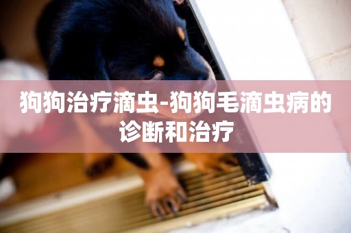 狗狗治療滴蟲-狗狗毛滴蟲病的診斷和治療