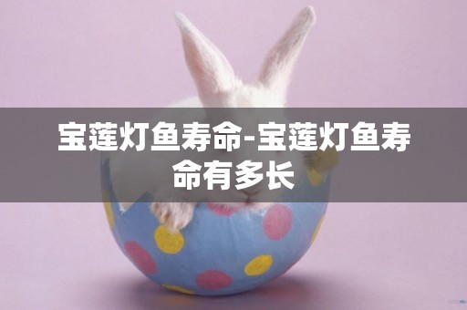 寶蓮燈魚壽命-寶蓮燈魚壽命有多長