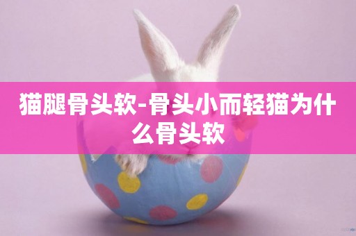 貓腿骨頭軟-骨頭小而輕貓為什么骨頭軟