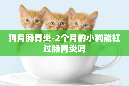 狗月腸胃炎-2個月的小狗能扛過腸胃炎嗎