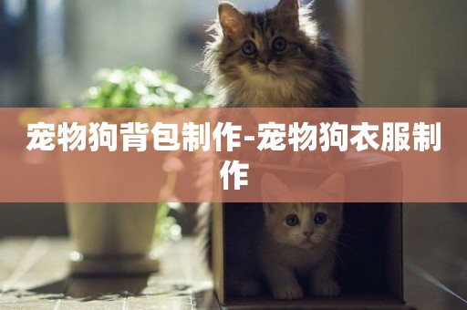 寵物狗背包制作-寵物狗衣服制作