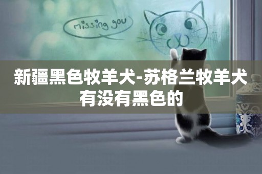 新疆黑色牧羊犬-蘇格蘭牧羊犬有沒有黑色的