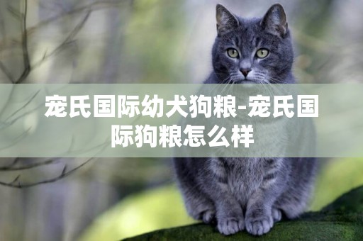 寵氏國際幼犬狗糧-寵氏國際狗糧怎么樣