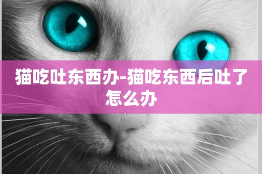 貓吃吐東西辦-貓吃東西后吐了怎么辦