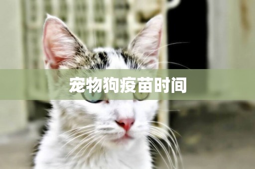 寵物狗疫苗時間