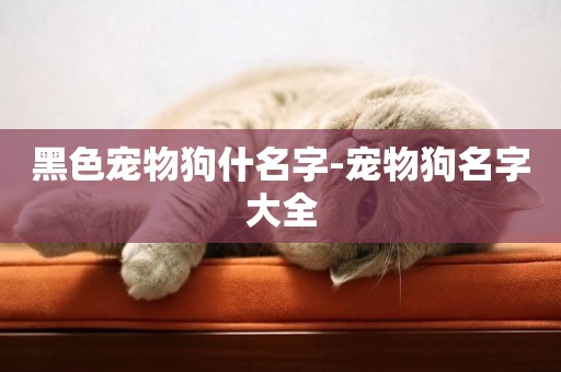 黑色寵物狗什名字-寵物狗名字大全