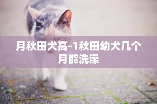 月秋田犬高-1秋田幼犬幾個月能洗澡