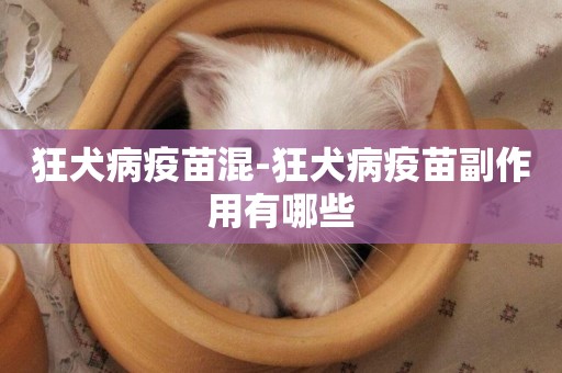 狂犬病疫苗混-狂犬病疫苗副作用有哪些