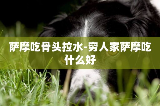 薩摩吃骨頭拉水-窮人家薩摩吃什么好