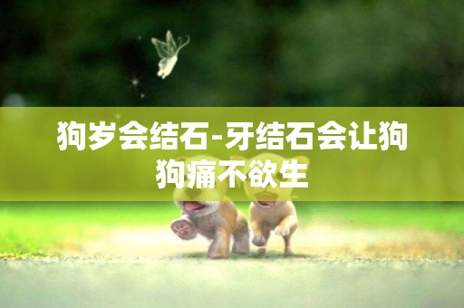 狗歲會結石-牙結石會讓狗狗痛不欲生