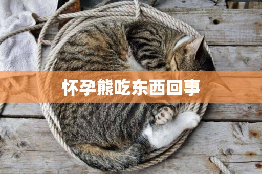 懷孕熊吃東西回事