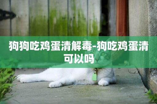 狗狗吃雞蛋清解毒-狗吃雞蛋清可以嗎