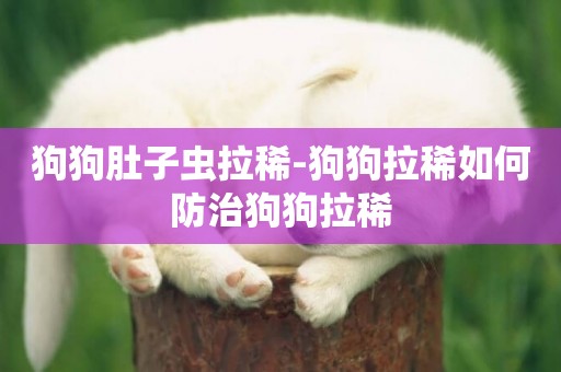 狗狗肚子蟲拉稀-狗狗拉稀如何防治狗狗拉稀