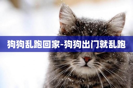 狗狗亂跑回家-狗狗出門就亂跑
