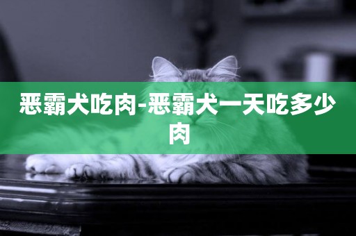 惡霸犬吃肉-惡霸犬一天吃多少肉