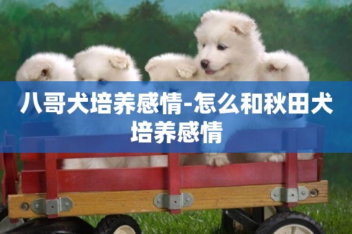 八哥犬培養感情-怎么和秋田犬培養感情
