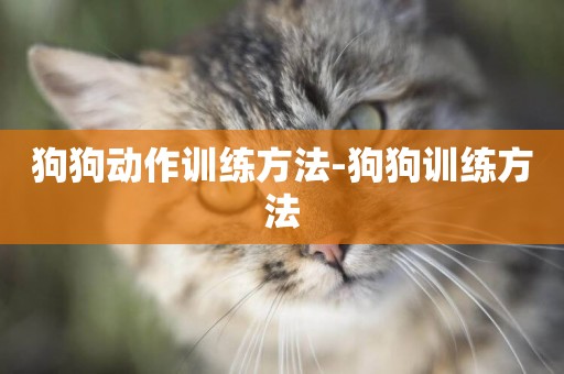 狗狗動作訓練方法-狗狗訓練方法