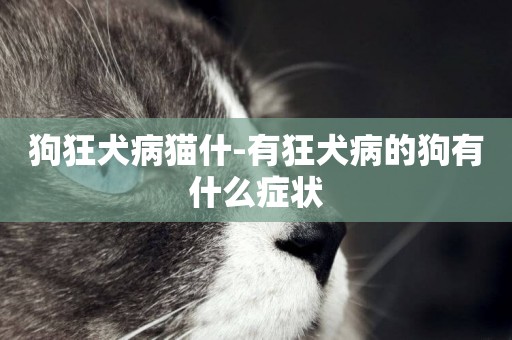 狗狂犬病貓什-有狂犬病的狗有什么癥狀