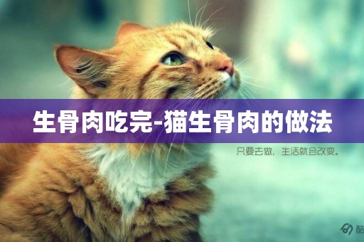 生骨肉吃完-貓生骨肉的做法