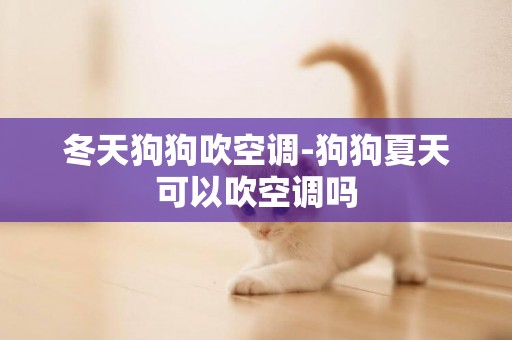 冬天狗狗吹空調-狗狗夏天可以吹空調嗎