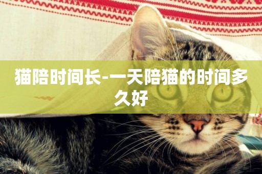 貓陪時間長-一天陪貓的時間多久好