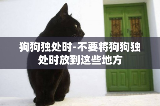 狗狗獨處時-不要將狗狗獨處時放到這些地方