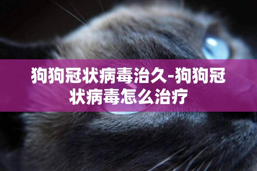 狗狗冠狀病毒治久-狗狗冠狀病毒怎么治療