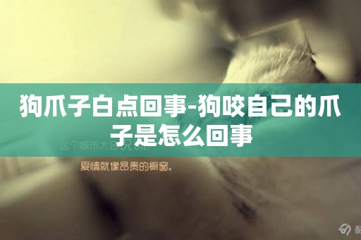 狗爪子白點回事-狗咬自己的爪子是怎么回事