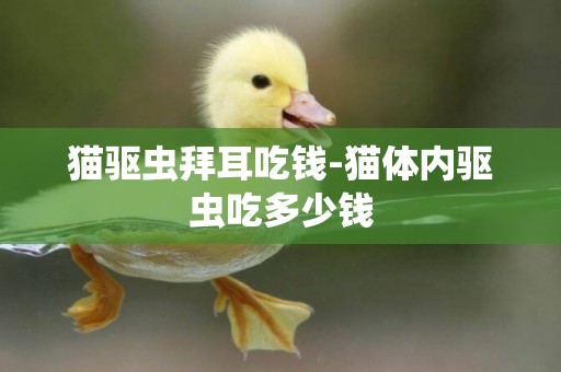 貓驅蟲拜耳吃錢-貓體內驅蟲吃多少錢