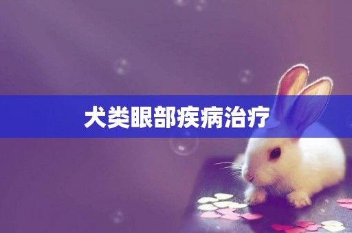 犬類眼部疾病治療