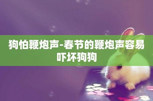 狗怕鞭炮聲-春節的鞭炮聲容易嚇壞狗狗