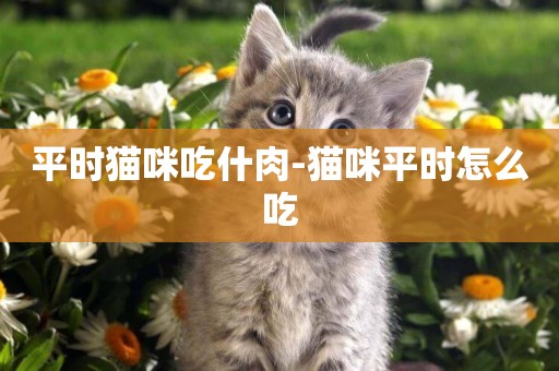 平時貓咪吃什肉-貓咪平時怎么吃
