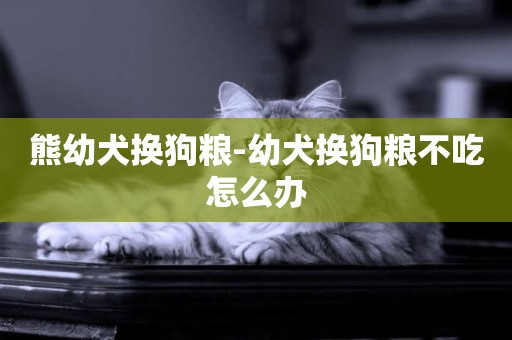 熊幼犬換狗糧-幼犬換狗糧不吃怎么辦