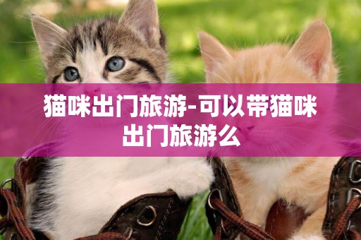 貓咪出門旅游-可以帶貓咪出門旅游么