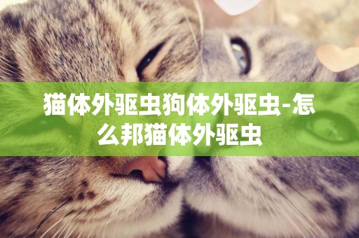 貓體外驅蟲狗體外驅蟲-怎么邦貓體外驅蟲